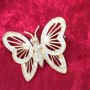 Roman Marked Butterfly